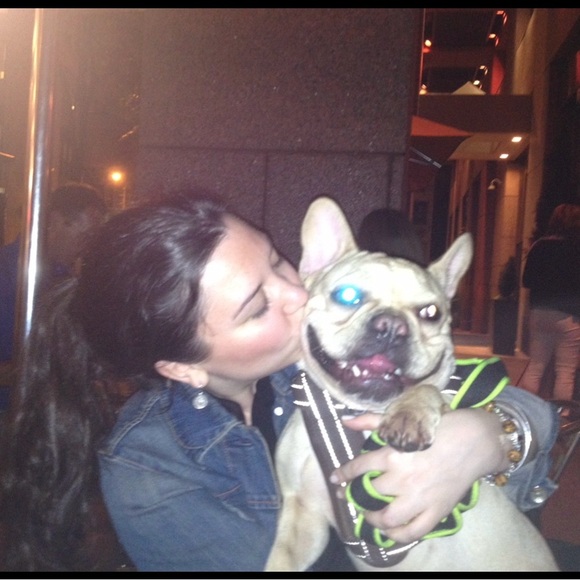 Meet your Posher, Aviva - Picture 7 of 13